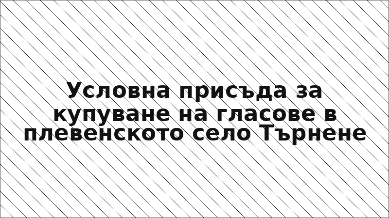 Условна присъда за купуване на гласове в плевенското село Търнене