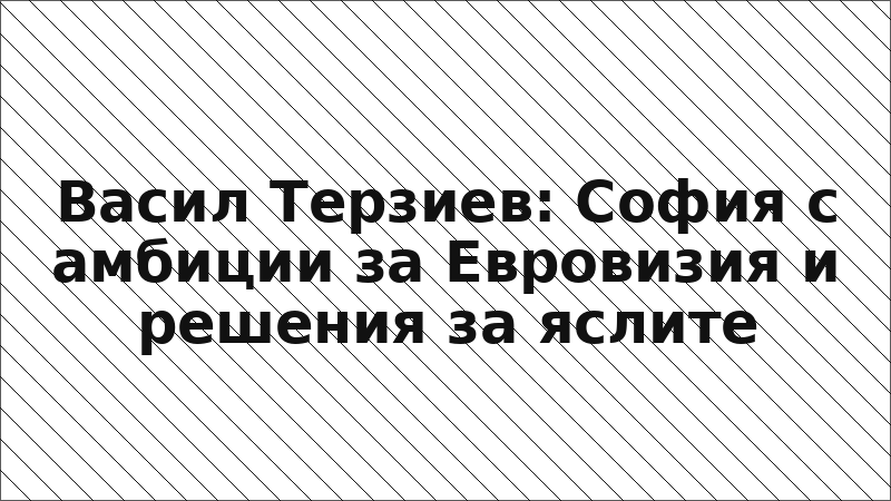 Васил Терзиев: София с амбиции за Евровизия и решения за яслите
