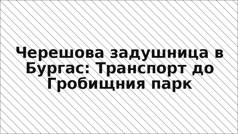 Черешова задушница в Бургас: Транспорт до Гробищния парк