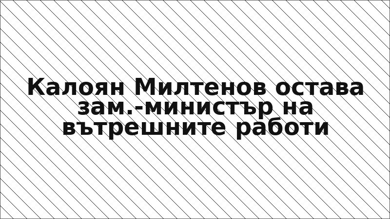 Калоян Милтенов остава зам.-министър на вътрешните работи