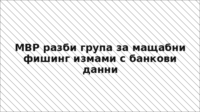 МВР разби група за мащабни фишинг измами с банкови данни
