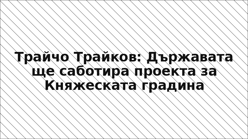 Трайчо Трайков: Държавата ще саботира проекта за Княжеската градина