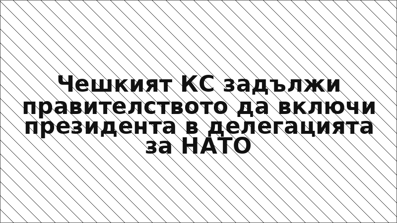 Чешкият КС задължи правителството да включи президента в делегацията за НАТО