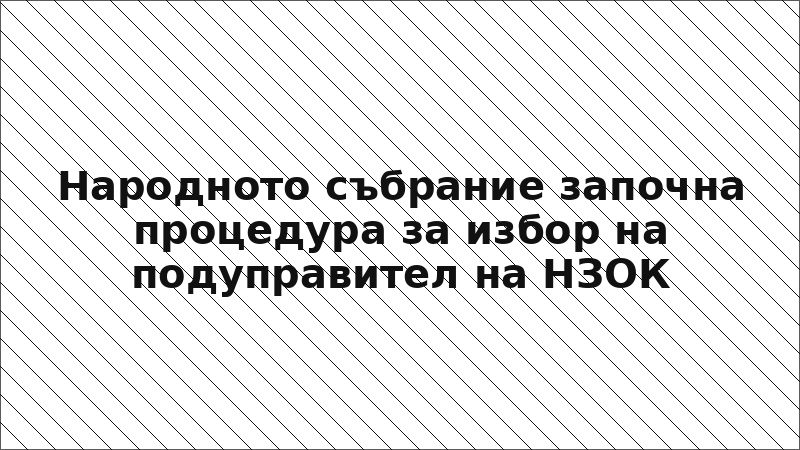Народното събрание започна процедура за избор на подуправител на НЗОК