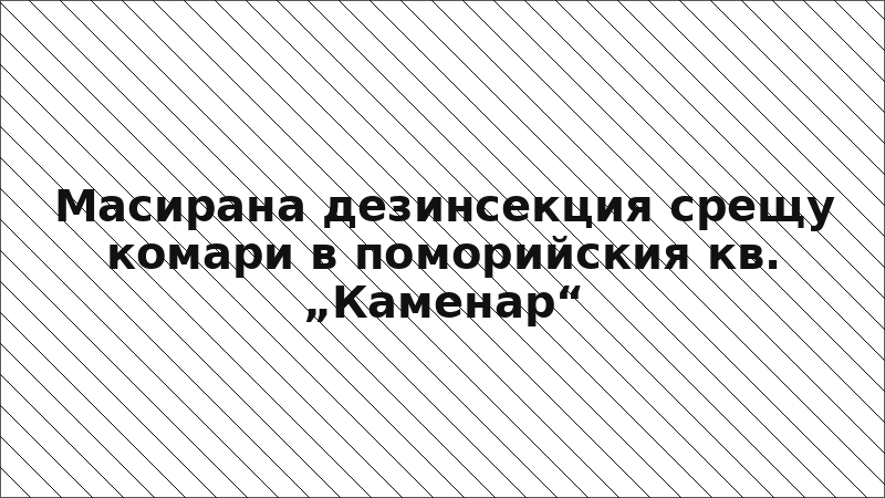 Масирана дезинсекция срещу комари в поморийския кв. „Каменар“