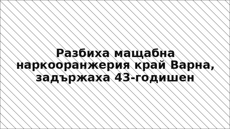 Разбиха мащабна наркооранжерия край Варна, задържаха 43-годишен