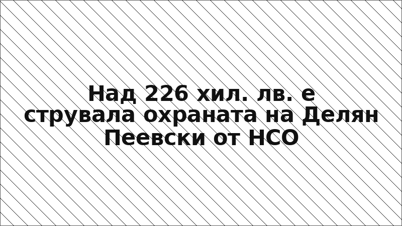 Над 226 хил. лв. е струвала охраната на Делян Пеевски от НСО