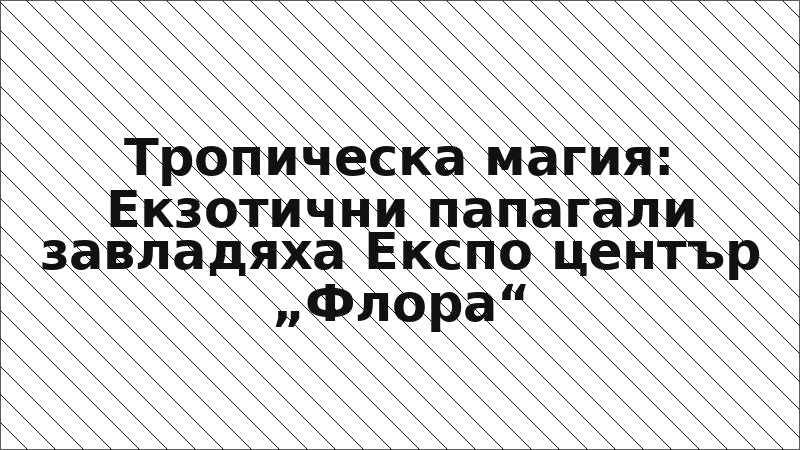 Тропическа магия: Екзотични папагали завладяха Експо център „Флора“