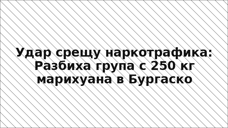 Удар срещу наркотрафика: Разбиха група с 250 кг марихуана в Бургаско