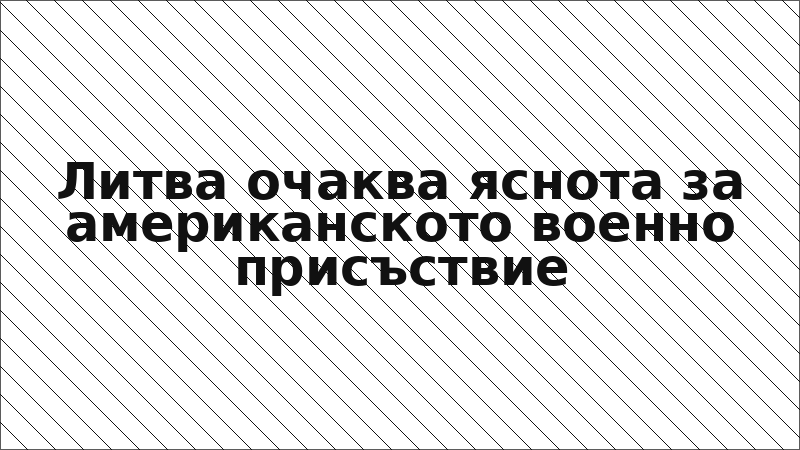 Литва очаква яснота за американското военно присъствие