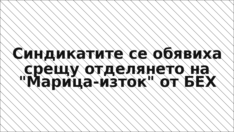 Синдикатите се обявиха срещу отделянето на "Марица-изток" от БЕХ