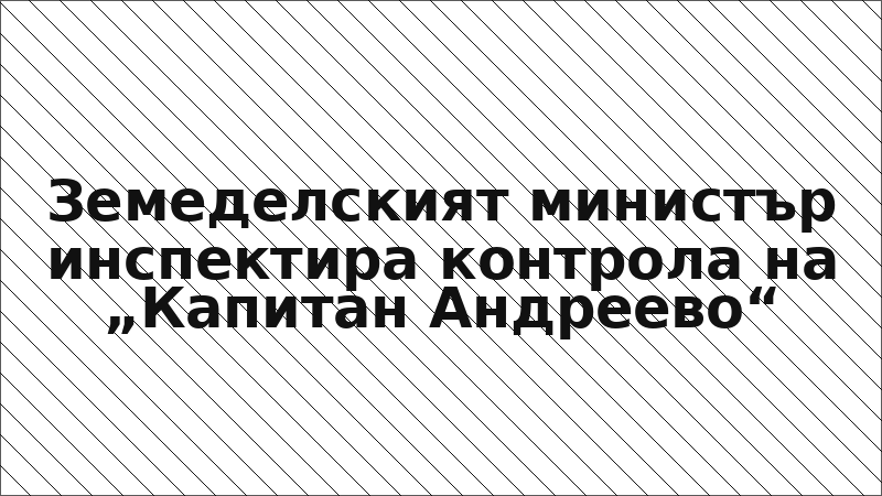 Земеделският министър инспектира контрола на „Капитан Андреево“