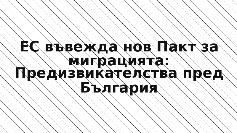 ЕС въвежда нов Пакт за миграцията: Предизвикателства пред България