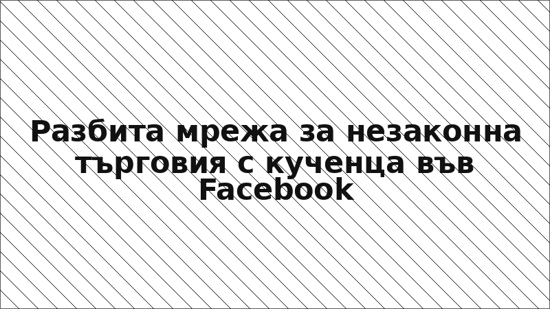 Разбита мрежа за незаконна търговия с кученца във Facebook
