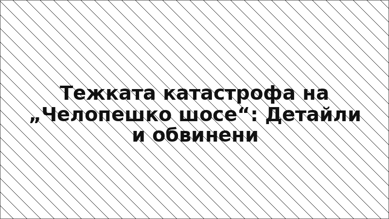 Тежката катастрофа на „Челопешко шосе“: Детайли и обвинени