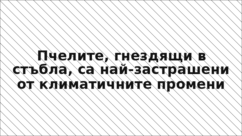 Пчелите, гнездящи в стъбла, са най-застрашени от климатичните промени