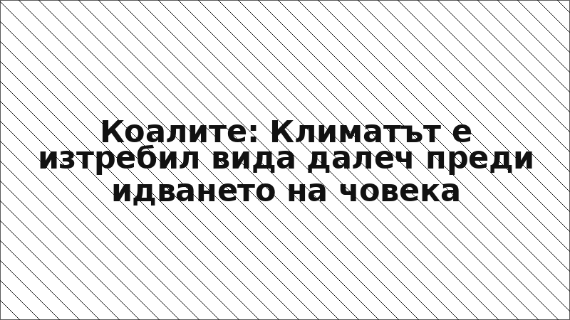 Коалите: Климатът е изтребил вида далеч преди идването на човека