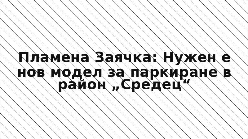Пламена Заячка: Нужен е нов модел за паркиране в район „Средец“