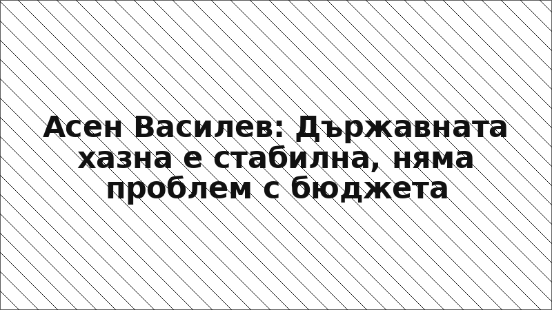 Асен Василев: Държавната хазна е стабилна, няма проблем с бюджета