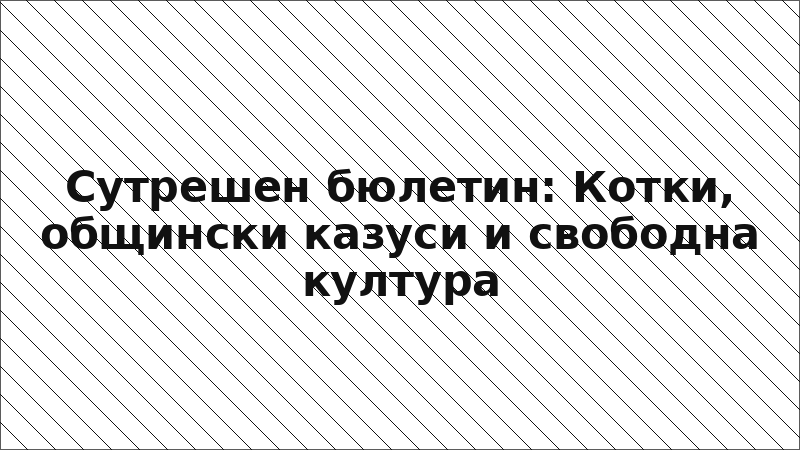 Сутрешен бюлетин: Котки, общински казуси и свободна култура