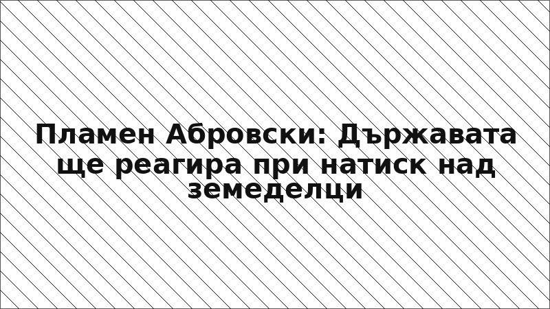 Пламен Абровски: Държавата ще реагира при натиск над земеделци