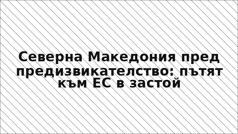 Северна Македония пред предизвикателство: пътят към ЕС в застой
