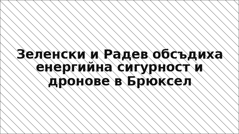Зеленски и Радев обсъдиха енергийна сигурност и дронове в Брюксел