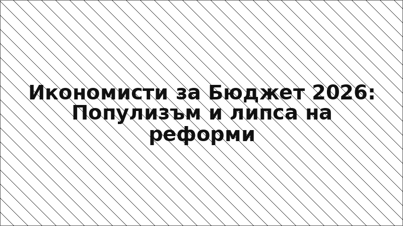 Икономисти за Бюджет 2026: Популизъм и липса на реформи