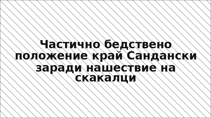Частично бедствено положение край Сандански заради нашествие на скакалци
