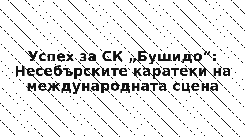 Успех за СК „Бушидо“: Несебърските каратеки на международната сцена