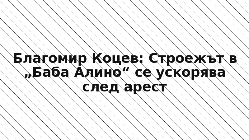 Благомир Коцев: Строежът в „Баба Алино“ се ускорява след арест