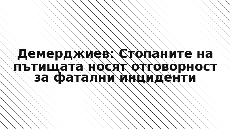 Демерджиев: Стопаните на пътищата носят отговорност за фатални инциденти