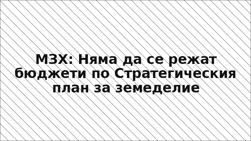 МЗХ: Няма да се режат бюджети по Стратегическия план за земеделие