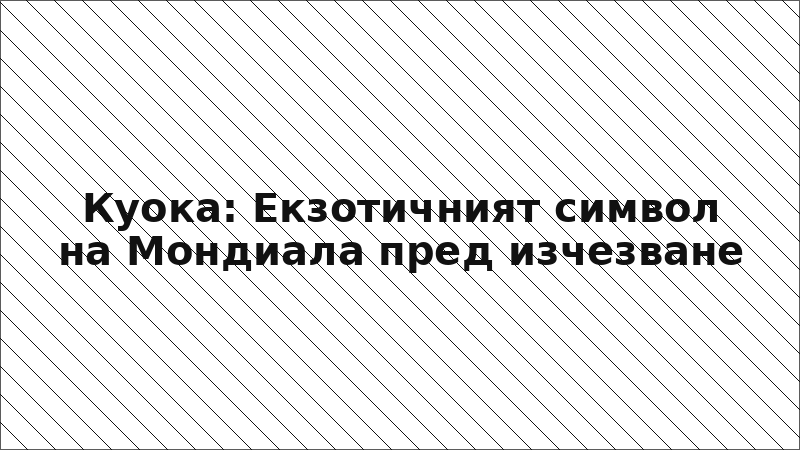 Куока: Екзотичният символ на Мондиала пред изчезване