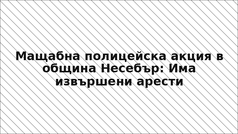 Мащабна полицейска акция в община Несебър: Има извършени арести