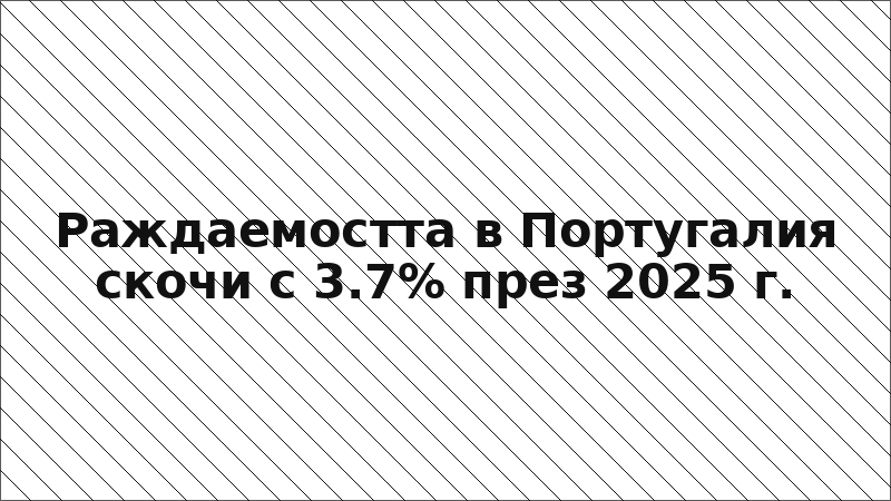 Раждаемостта в Португалия скочи с 3.7% през 2025 г.