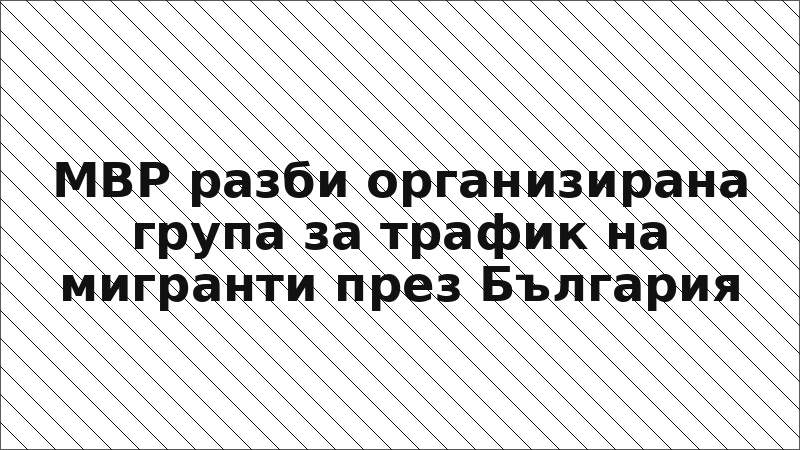 МВР разби организирана група за трафик на мигранти през България