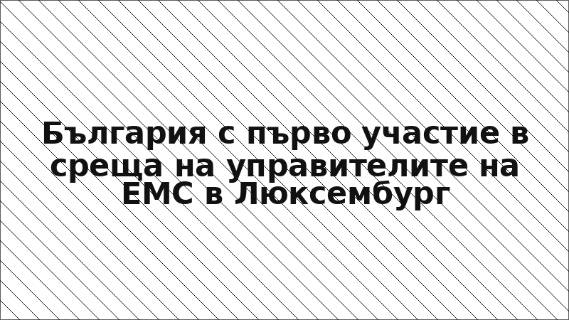 България с първо участие в среща на управителите на ЕМС в Люксембург