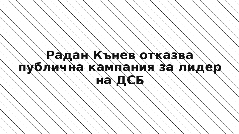 Радан Кънев отказва публична кампания за лидер на ДСБ