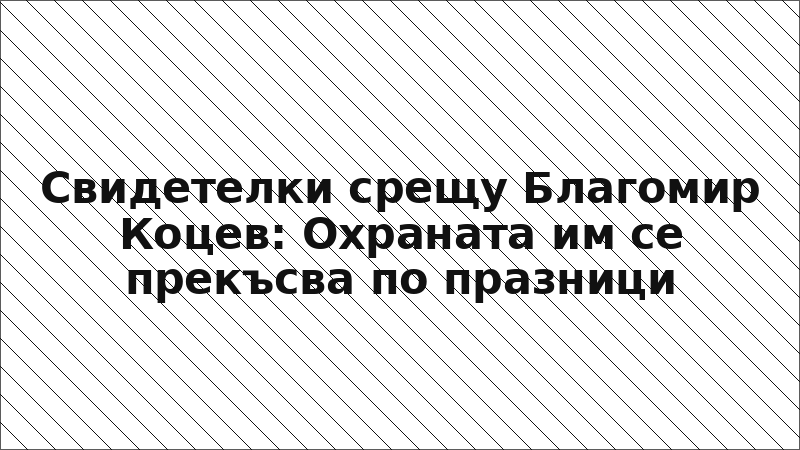 Свидетелки срещу Благомир Коцев: Охраната им се прекъсва по празници