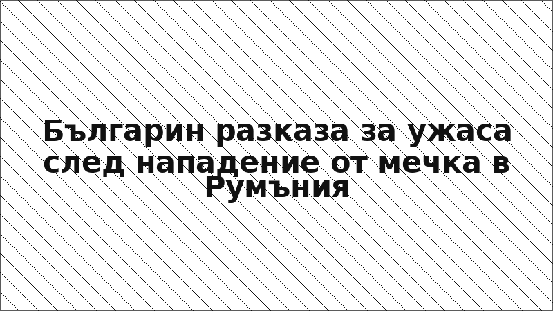 Българин разказа за ужаса след нападение от мечка в Румъния