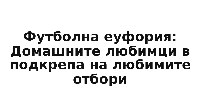 Футболна еуфория: Домашните любимци в подкрепа на любимите отбори