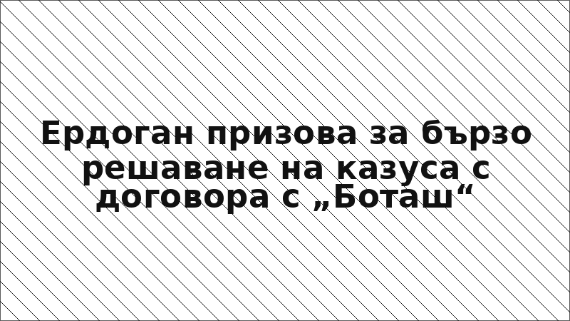 Ердоган призова за бързо решаване на казуса с договора с „Боташ“