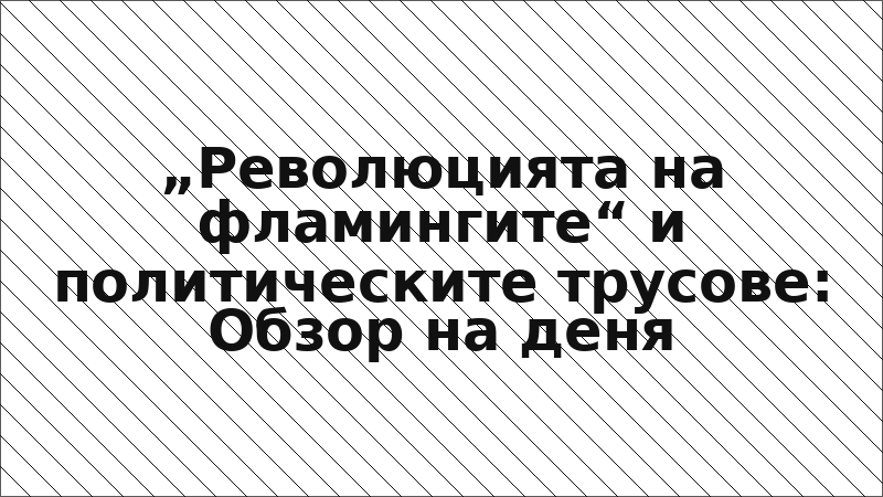 „Революцията на фламингите“ и политическите трусове: Обзор на деня