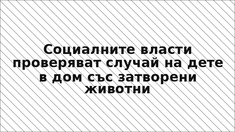 Социалните власти проверяват случай на дете в дом със затворени животни