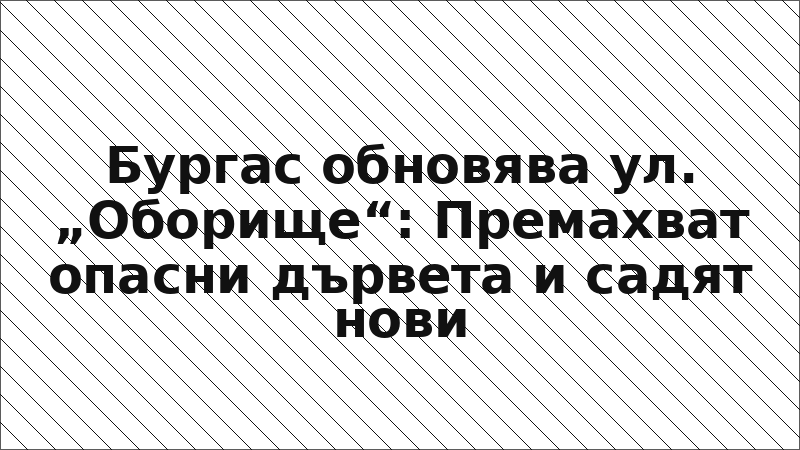 Бургас обновява ул. „Оборище“: Премахват опасни дървета и садят нови