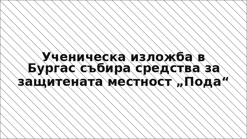 Ученическа изложба в Бургас събира средства за защитената местност „Пода“