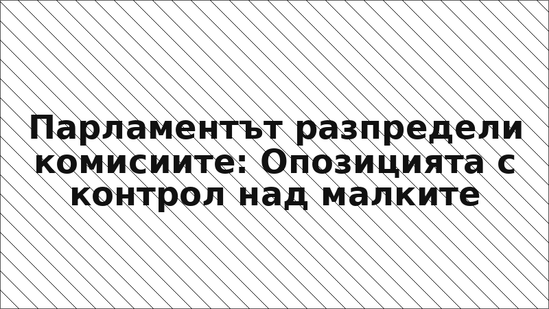 Парламентът разпредели комисиите: Опозицията с контрол над малките