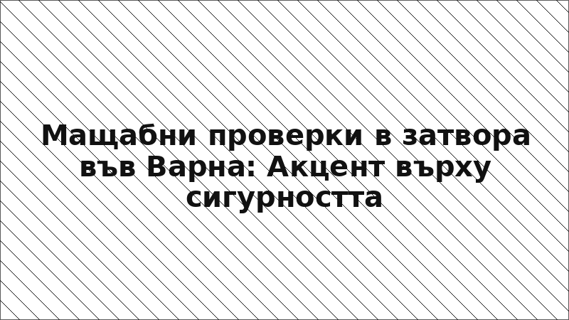 Мащабни проверки в затвора във Варна: Акцент върху сигурността