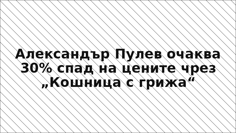 Александър Пулев очаква 30% спад на цените чрез „Кошница с грижа“